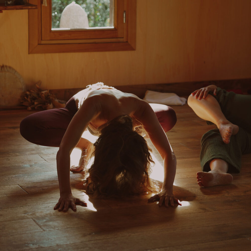 Cycle 5 * Cours en Ligne Yoga & Mouvement Matrice